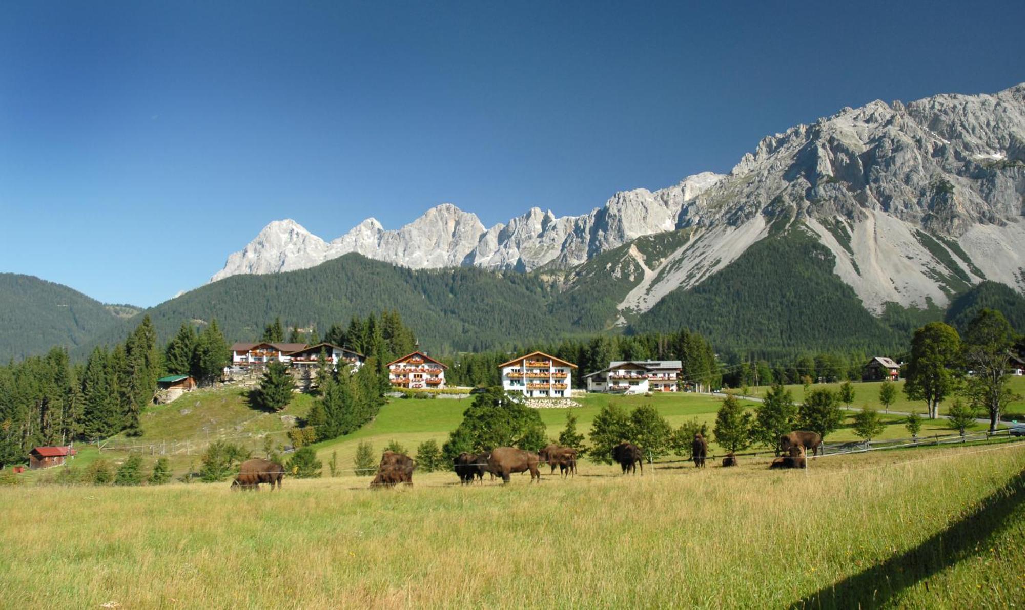 Hotel Ramsaueralm Ramsau am Dachstein Esterno foto