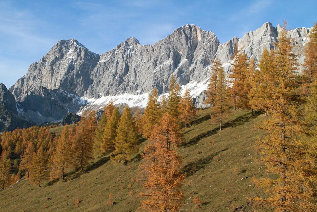 Hotel Ramsaueralm Ramsau am Dachstein Esterno foto